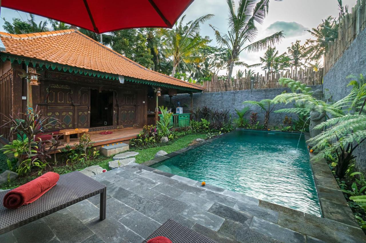 The Forest Villa Ubud Zewnętrze zdjęcie