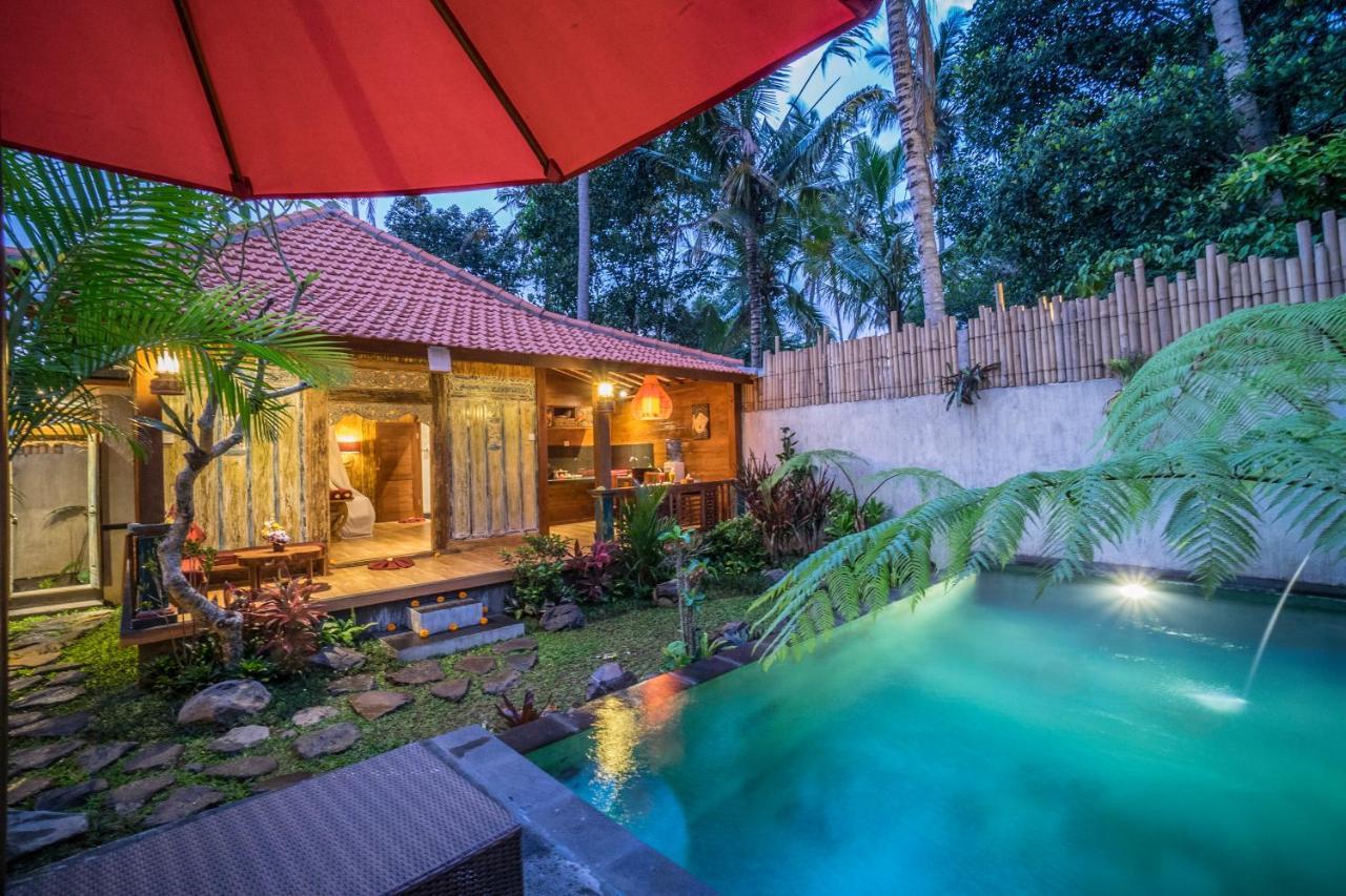 The Forest Villa Ubud Zewnętrze zdjęcie