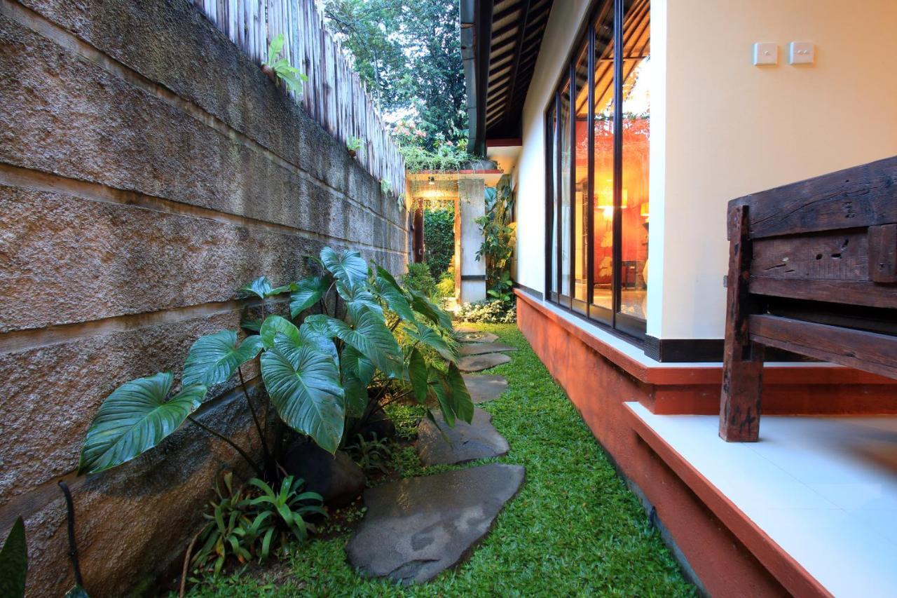The Forest Villa Ubud Zewnętrze zdjęcie